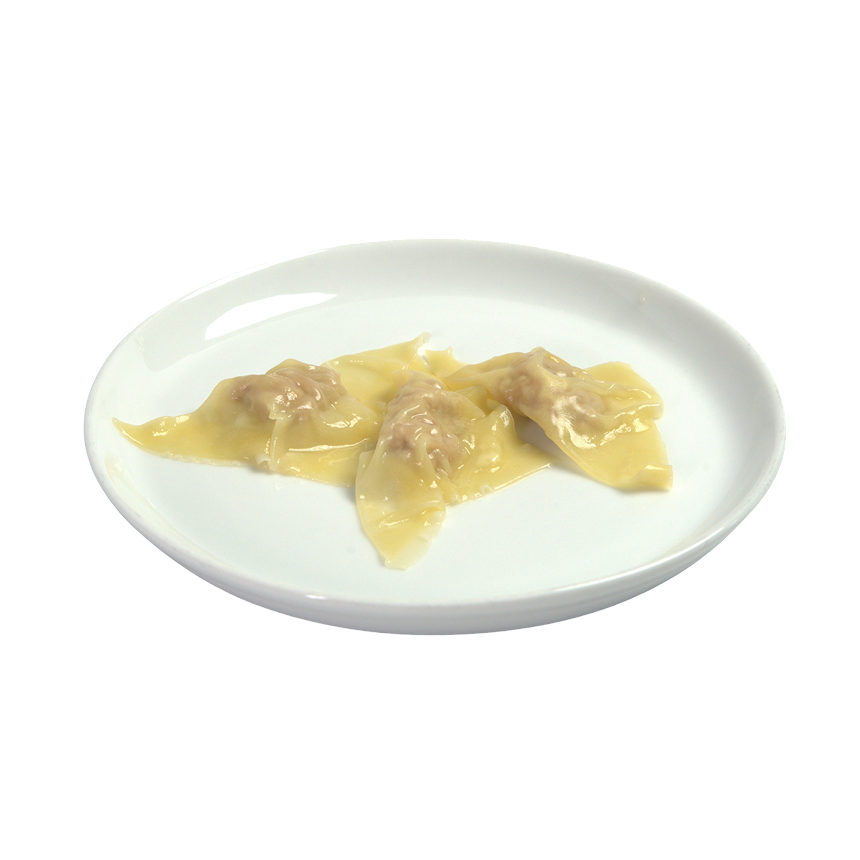 The Original Wonton Square Shape